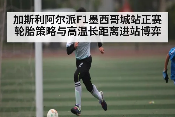 加斯利阿尔派F1墨西哥城站正赛轮胎策略与高温长距离进站博弈